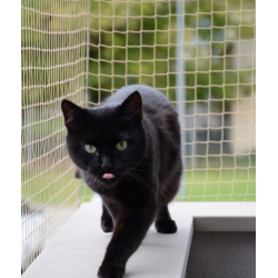 Katzenschutznetz für Balkon und Terrasse mit UV-Schutz