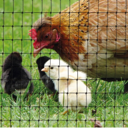 WovTex® Schutznetz gegen Maulwürfe und Wühlmäuse im Garten