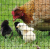 WovTex® Schutznetz gegen Maulwürfe und Wühlmäuse im Garten