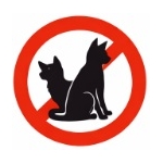 Hund & Katze Hund & Katze