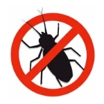 Insekten Insekten