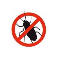 Insekten Insekten