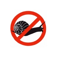 Schnecken