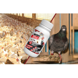 Effektive Stallhygiene mit Spray gegen Rote Vogelmilben