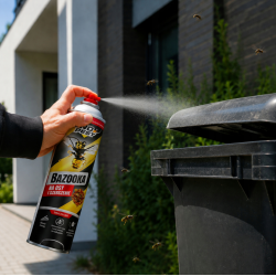 Effektive Bekämpfung von Wespen und Hornissen im Außenbereich