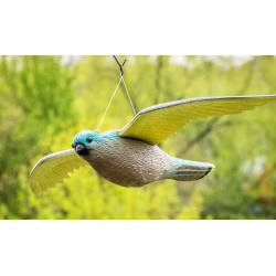 Falkenattrappe im Garten zum Vertreiben von Tauben und Vögeln