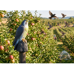 NO PEST Hawk Guard zum Schutz von Obstgärten und Pflanzen