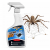 No Pest® Spinnenspray 500 ml gegen Spinnen und Spinnweben