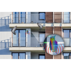 Vogelabwehr Hologramm Eule für Balkon und Gebäude