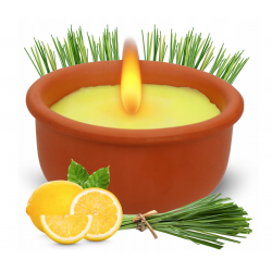 NO PEST Citronella Duftkerze in Terracotta-Schale gegen Mücken