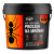 NO PEST Ameisenpulver 3 kg gegen Ameisen und Ameisennester