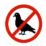 Vogel Vogel
