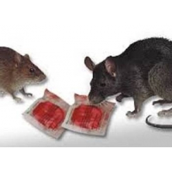 Ratimor Nagetierköder 1 kg mit Bromadiolon gegen Ratten und Mäuse