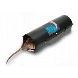 RATIMOR Brodifacoum Wachsblock 10 g Rattenköder